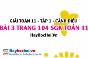 Giải bài 3 trang 104 Toán 11 tập 1 SGK Cánh Diều